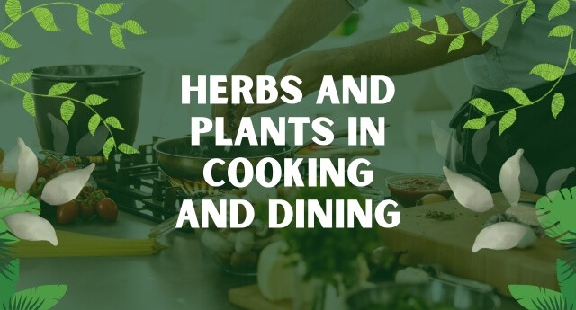 Herbs and Plants in Cooking and Dining